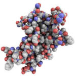 Traditional HGH vs. Peptides - Which Is Better