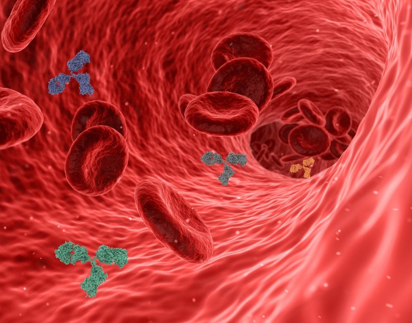 Anti-inflammatory effects of BPC 157